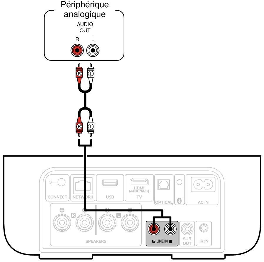 Conne AnalogIn DHAMP